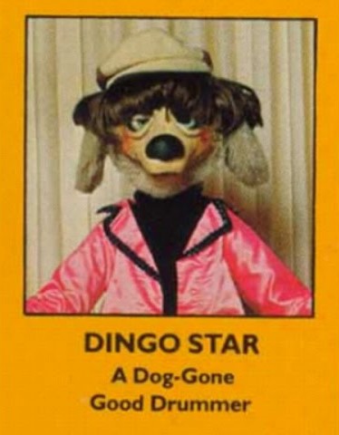 Dingo Starr animatronic surrounded by an orange border and the his name with the description 'A dog-gone good drummer.'