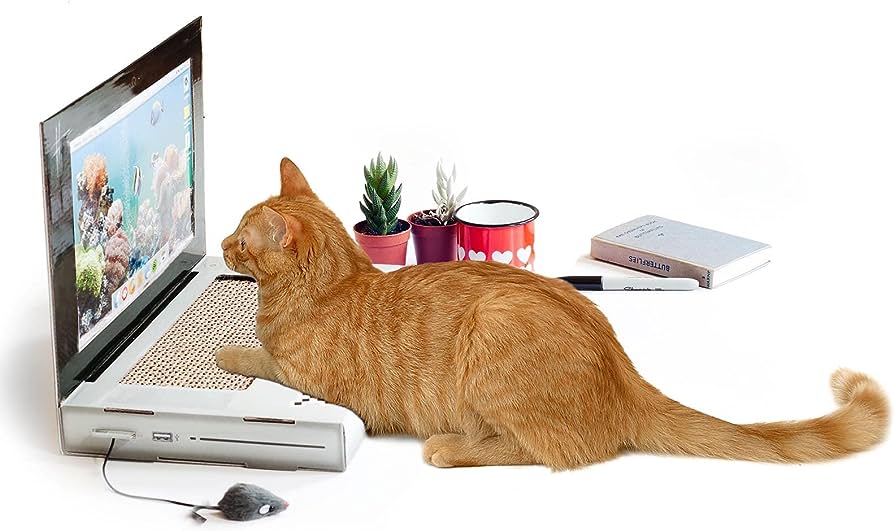 An orange cat on a cat toy shaped like a real laptop.