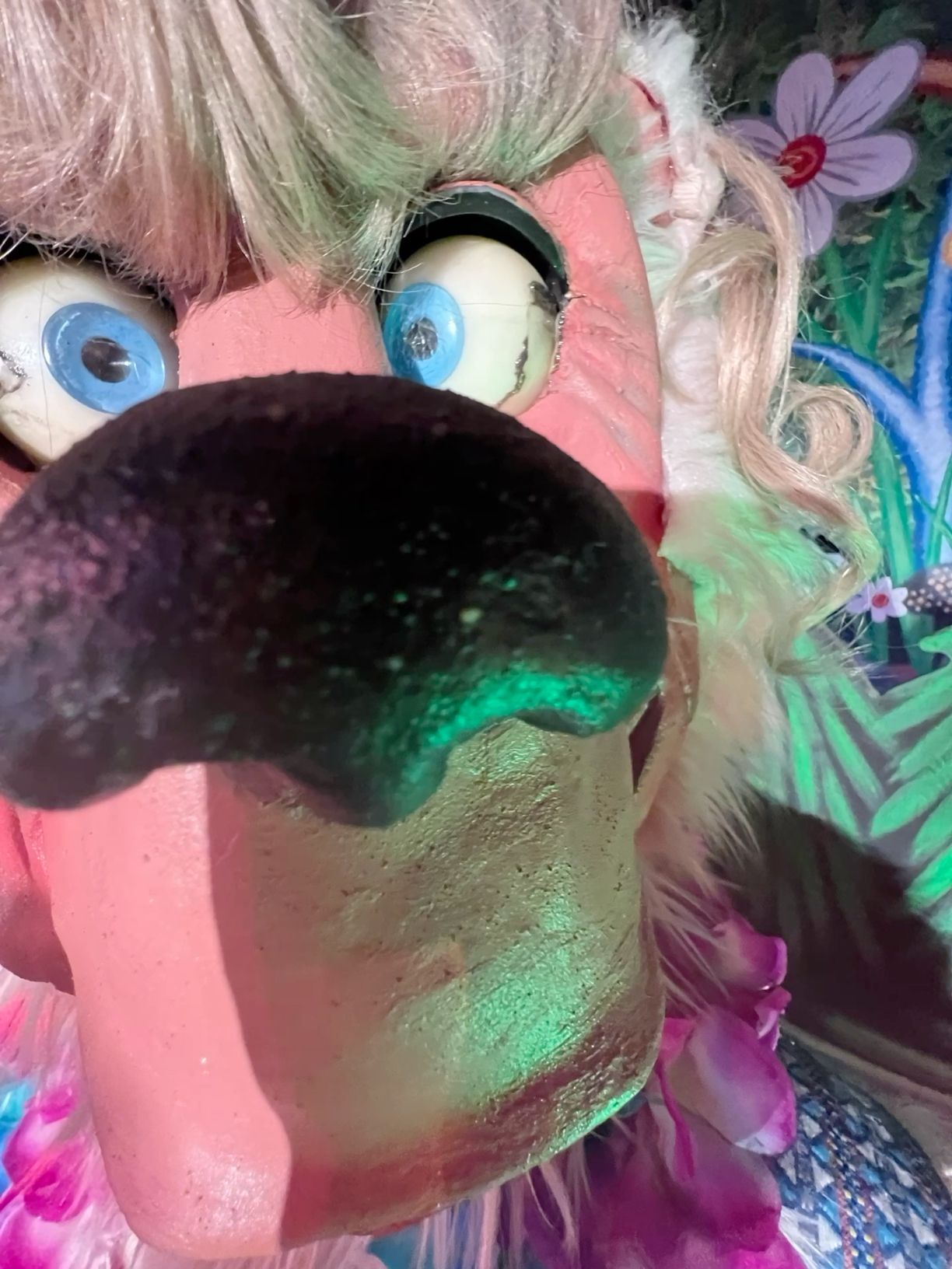 A very close up and unflattering picture of Beach Bear animatronic's face.