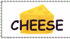 Cheese with text saying 'cheese.'